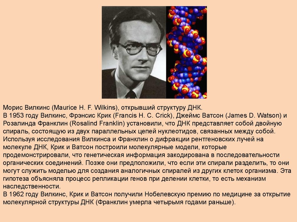 Морис уилкинс. Морис Уилкинс вклад. Морис Уилкинс открытие структуры ДНК. Морис Уилкинс вклад в биологию. Морис Уилкинс сообщение.