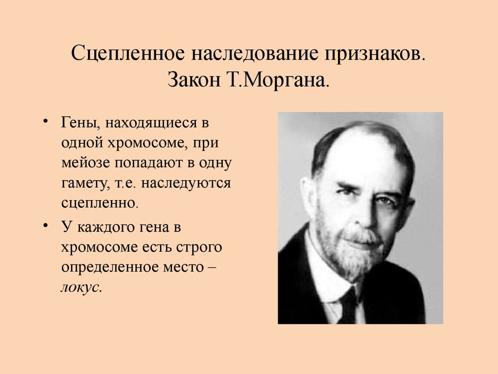 Кто впервые открыл закономерности наследования