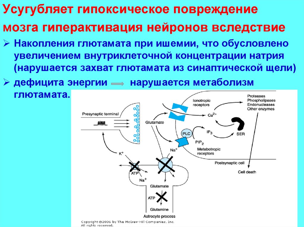 Защита нервных клеток