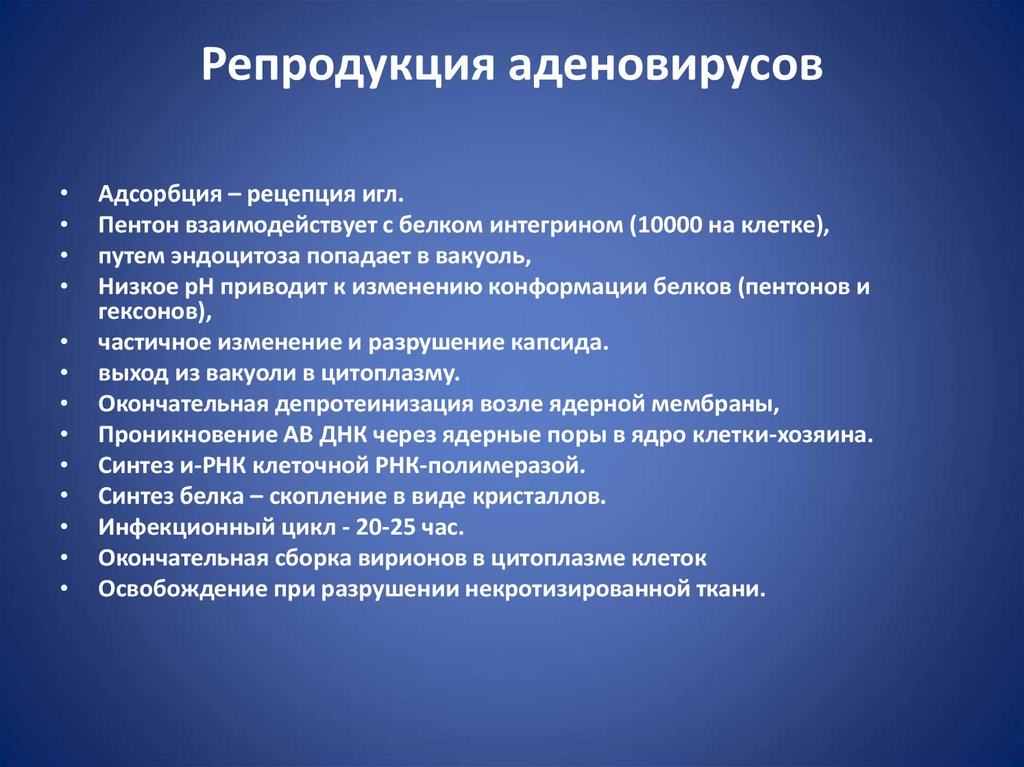 Репродукция особенности. Репродукция аденовирусов. Особенности репродукции аденовирусов. Этапы репродукции аденовируса. Репролукция аденровирус.