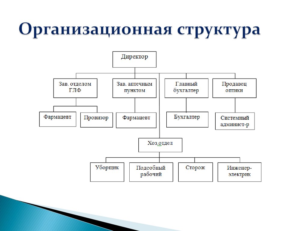Основные структуры организации. Организационная структура предприятия аптеки.