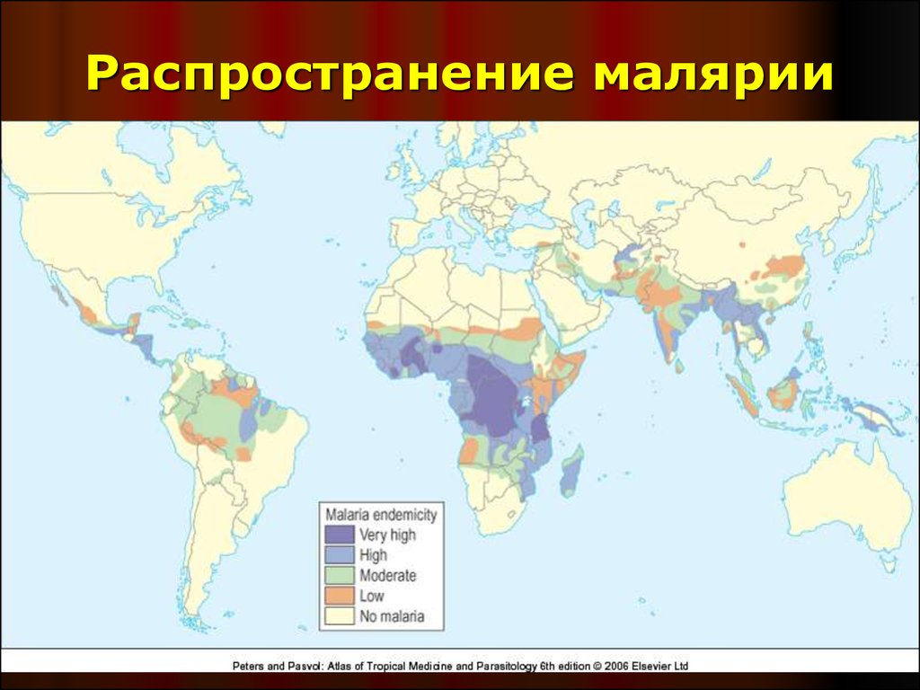 Распространение малярии. Распространенность малярии в мире. Малярийный плазмодий распространение. Распространение малярийного плазмодия на карте. Малярия распространение в мире 2020.