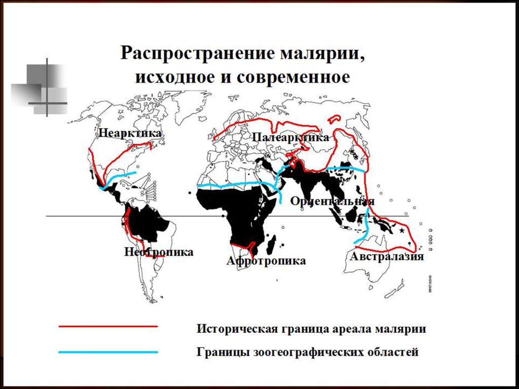 Распространение малярии. Мировой ареал распространения малярии. Карта распространения малярии в мире 2021. Малярийный плазмодий ареал. Ареал обитания малярийных комаров.