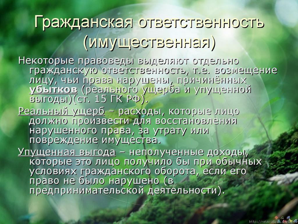 Среди серьезных проблем экологического плана наибольшее беспокойство