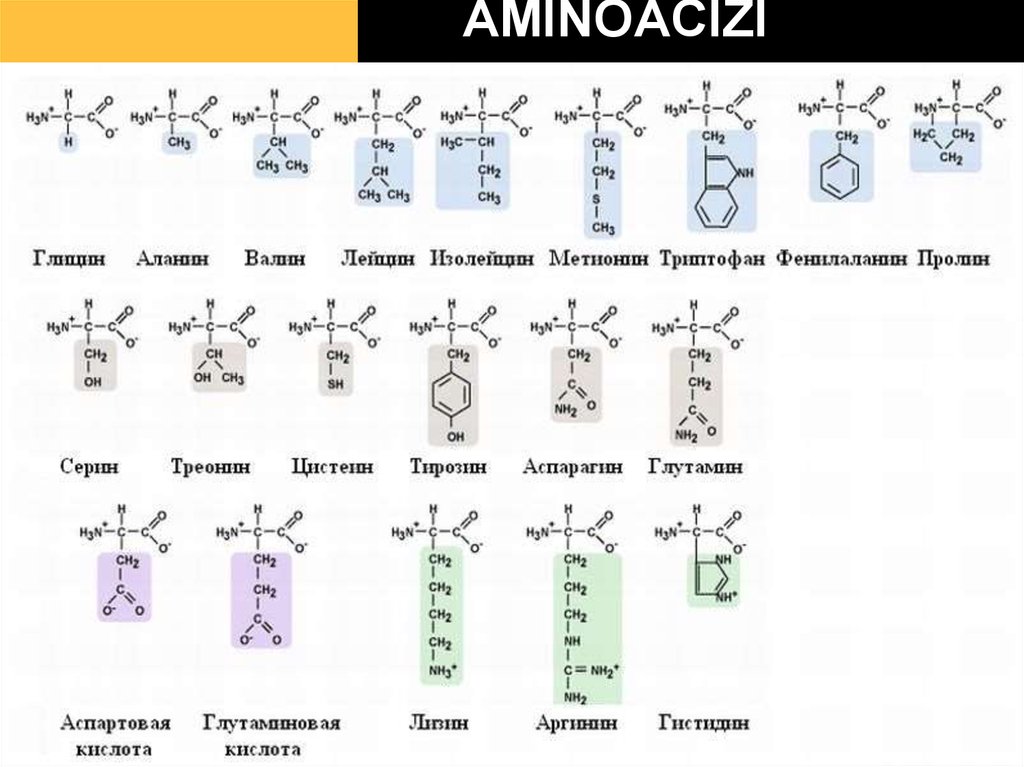 Группа входящие в состав аминокислот. Формулы 20 аминокислот таблица. Строение 20 аминокислот. Аминокислоты таблица формулы 20 биохимия. 20 Аминокислот белков формулы.