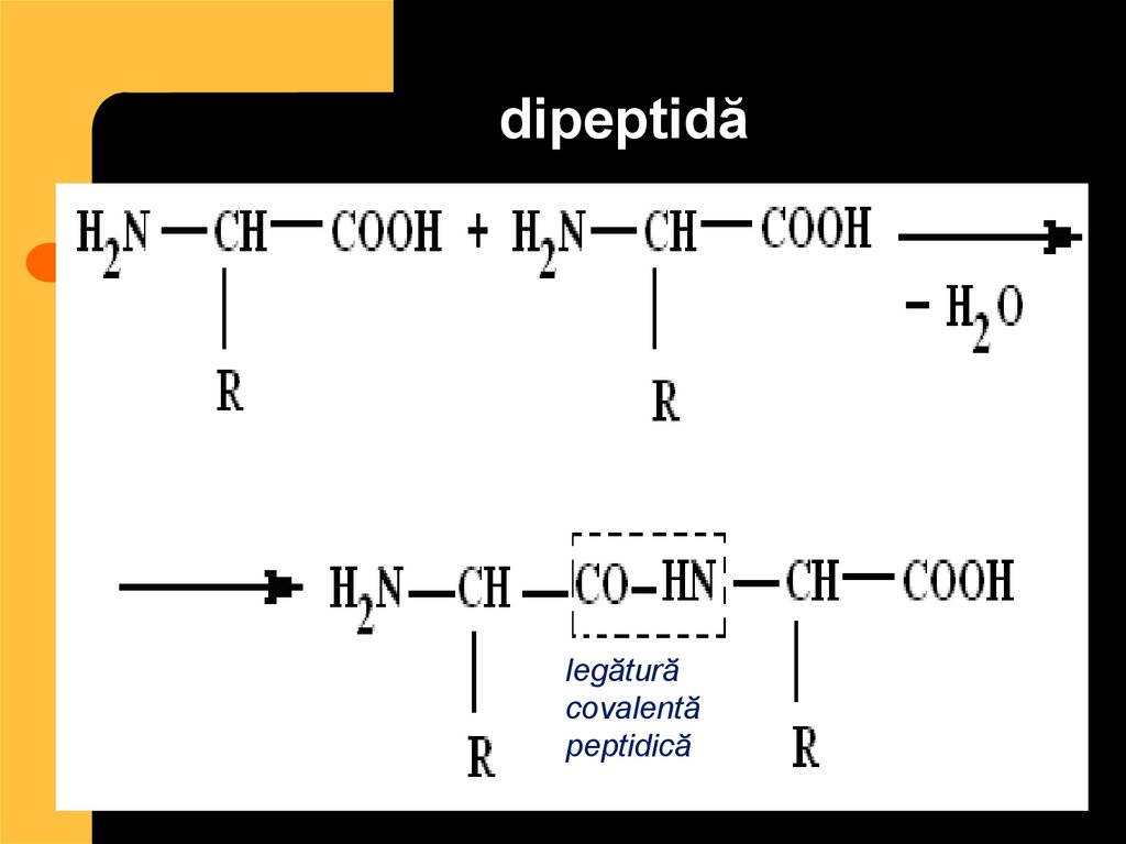 Дипептид природного происхождения