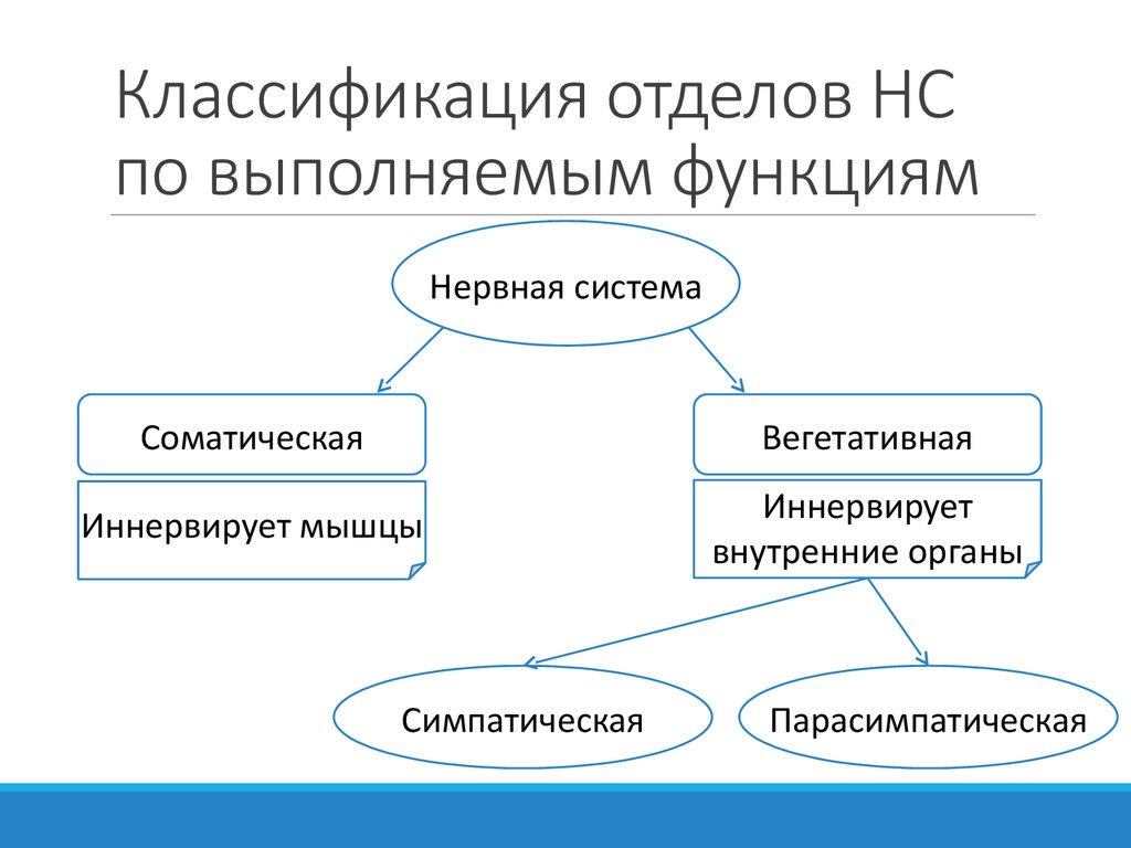 Классификация отдела