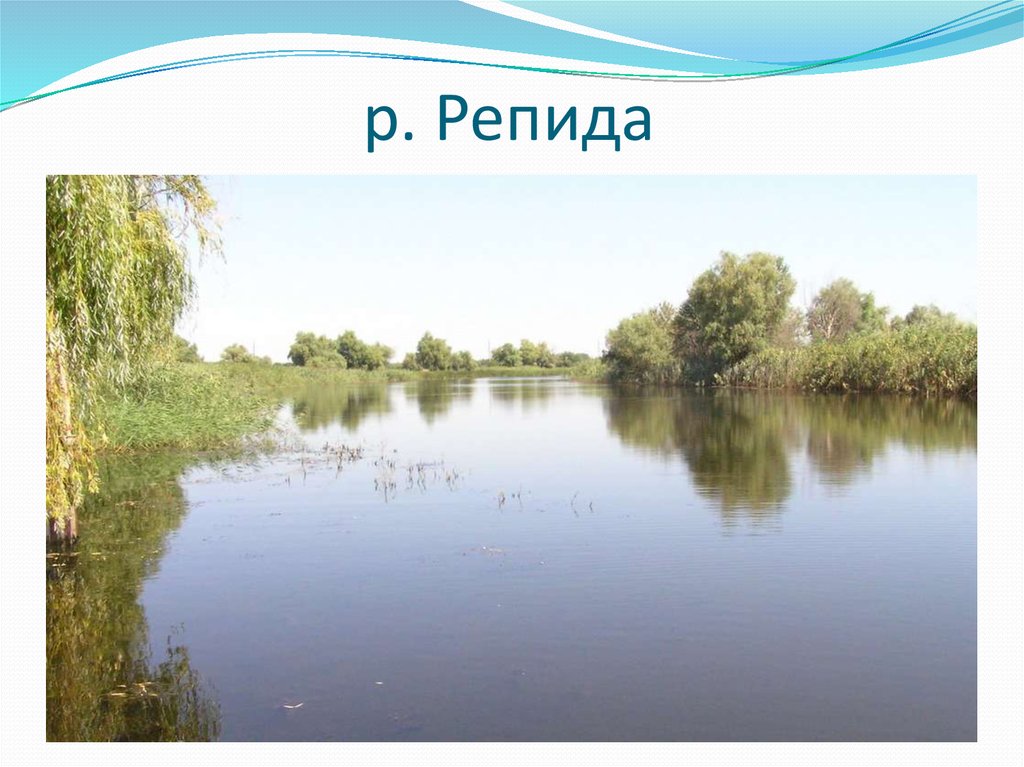 р. Репида