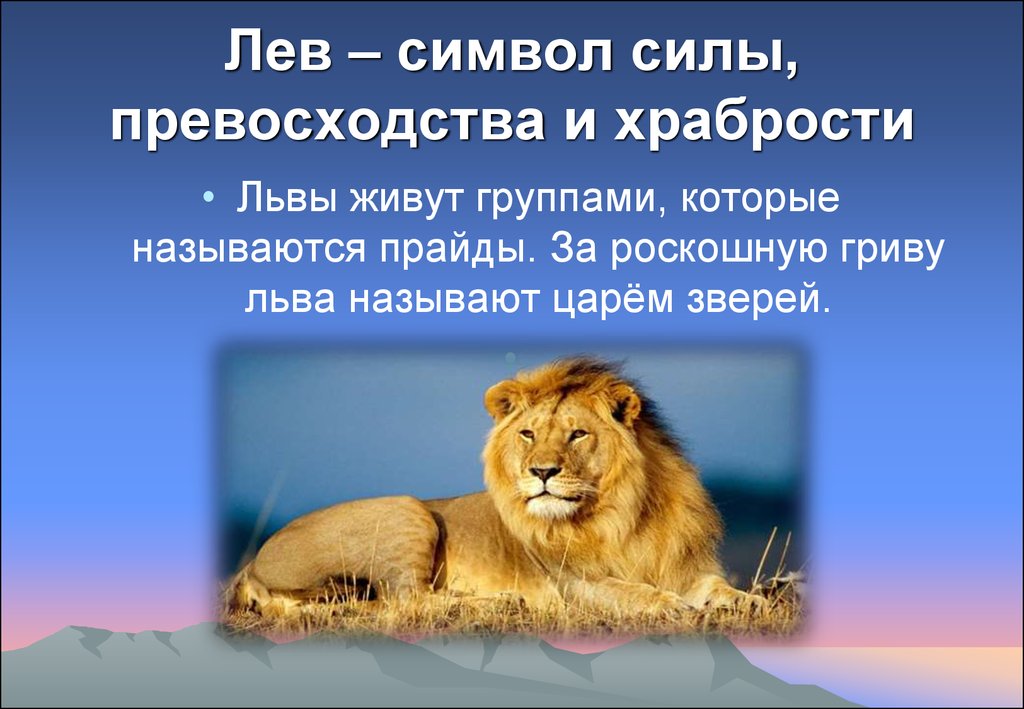 Лев какой род. Что символизирует Лев. Лев символ силы. Факты о львах. Символ Льва животного.