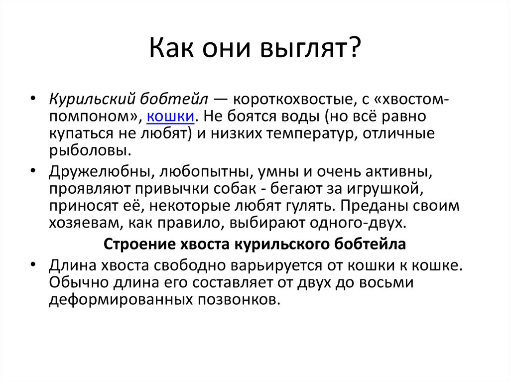Как они выглят?