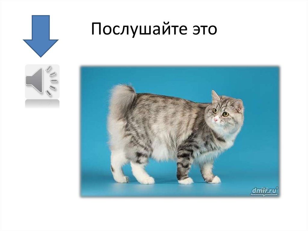 Послушайте это