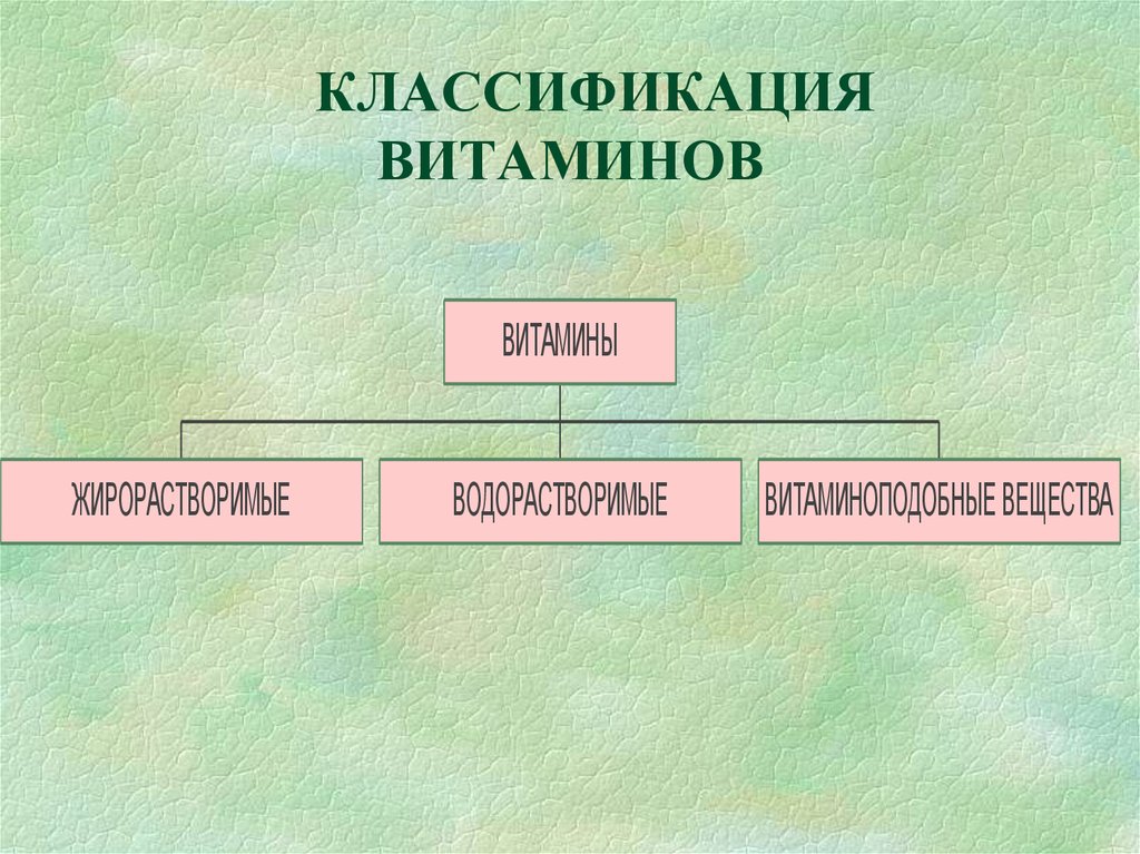КЛАССИФИКАЦИЯ ВИТАМИНОВ