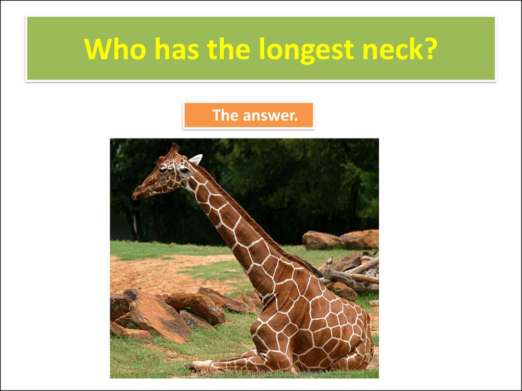 Who has the longest neck?