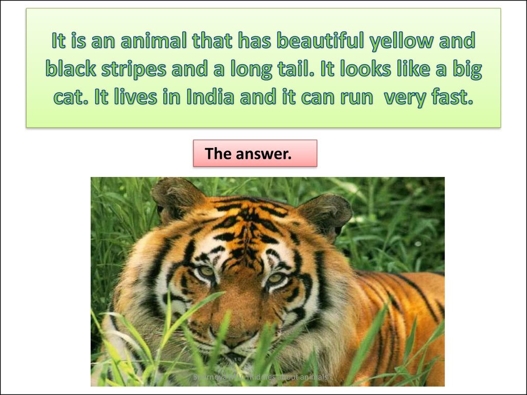 Essay about animals. Crazy about animals 2 класс. Riddles about animals. Riddles about Cats. Animals have long Tail.