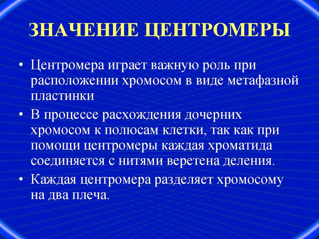 Структура и функции хромосом презентация