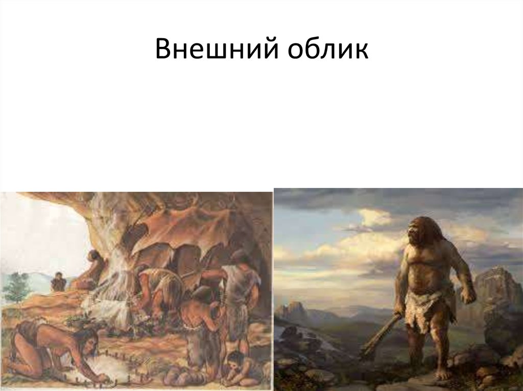 Тема облик. Внешний облик Бога. Скотты внешний облик. Внешний облик иерихонцев. Внешний облик латинов.