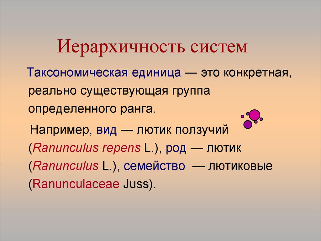 Иерархичность. Таксномоические единиц. Таксонономические единицы. Таксонбетрические единицы. Таксономические категории.