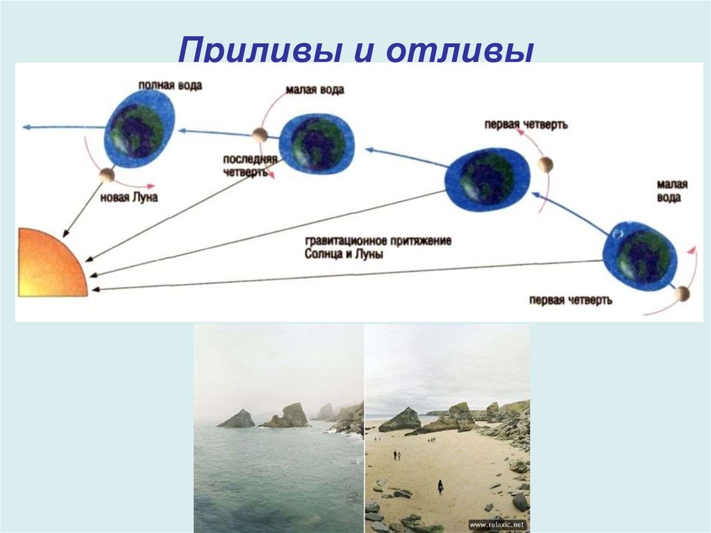 Притяжение воды в океанах луной. Схема возникновения приливов и отливов. Схема возникновения приливов и отливов на земле. Причины приливов и отливов в мировом океане. Причина приливов и отливов движения вод в мировом океане.