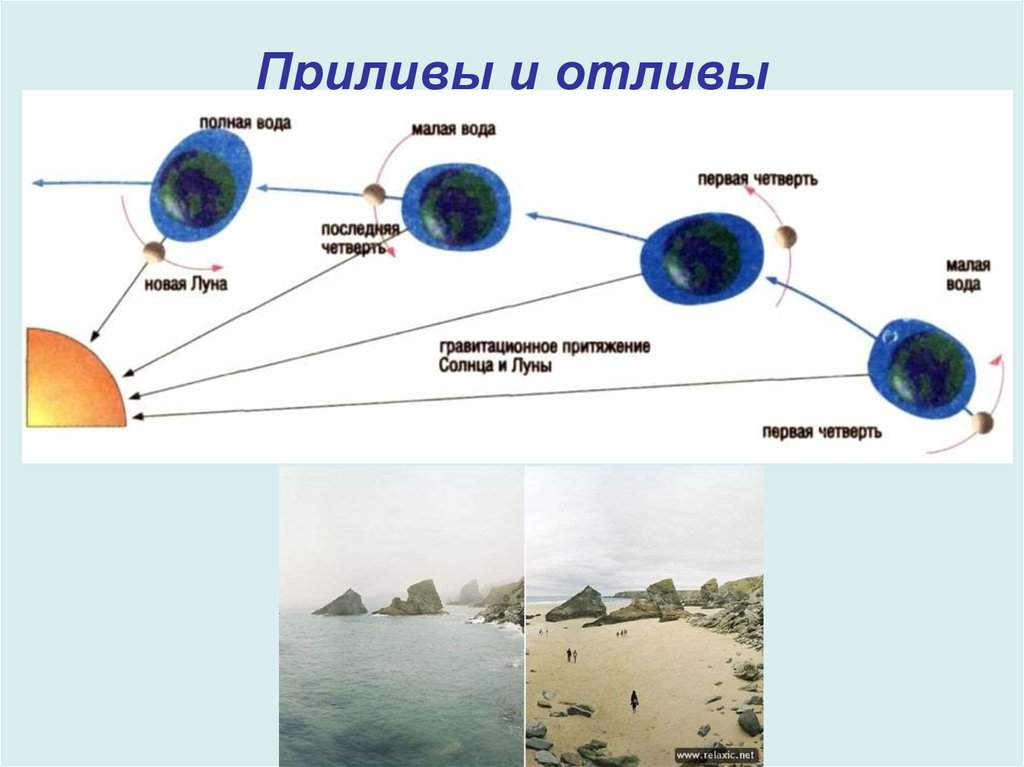 Сила вызывающая приливы. Луна приливы и отливы на земле рисунок. Схема возникновения приливов и отливов. Схема возникновения приливов и отливов на земле. Причина приливов и отливов в мировом океане 6 класс.