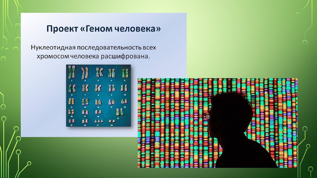 Проект геном человека. Геном человека расшифрован. Проект геном человека презентация. Международная программа геном человека.