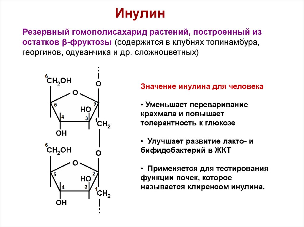 Схема катаболизма гликозаминогликанов