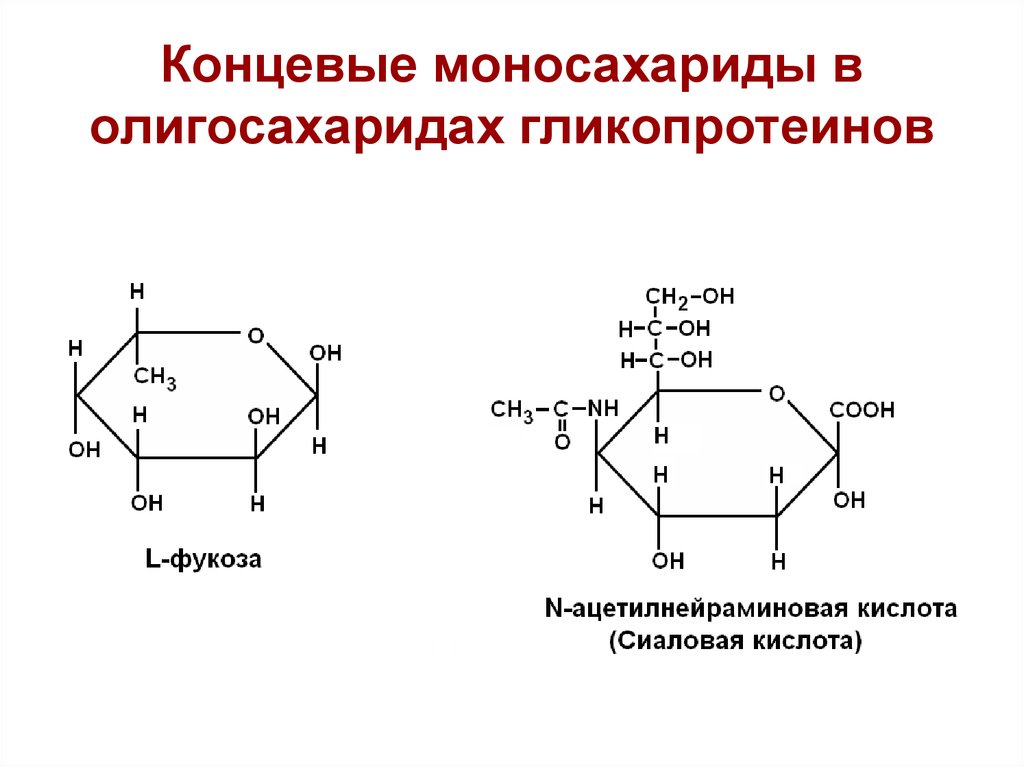 Виды циклической формы