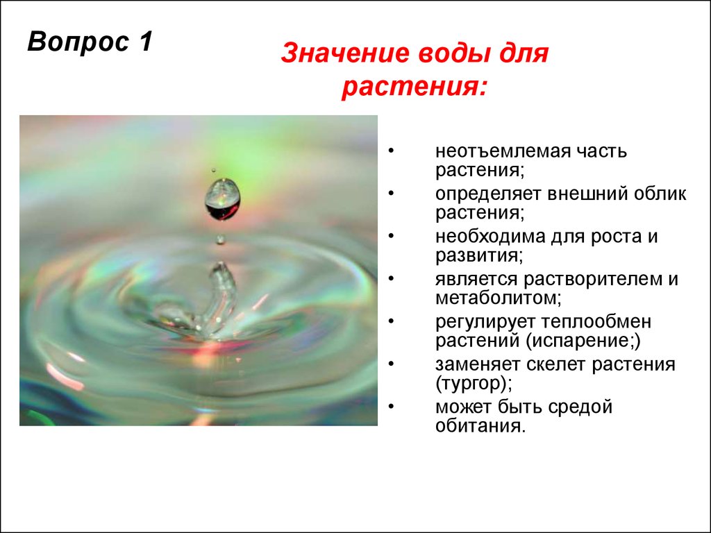 Вода обозначает. Вода экологический фактор. Вода как экологический фактор. Воды растений факторы. Вода как природный фактор.