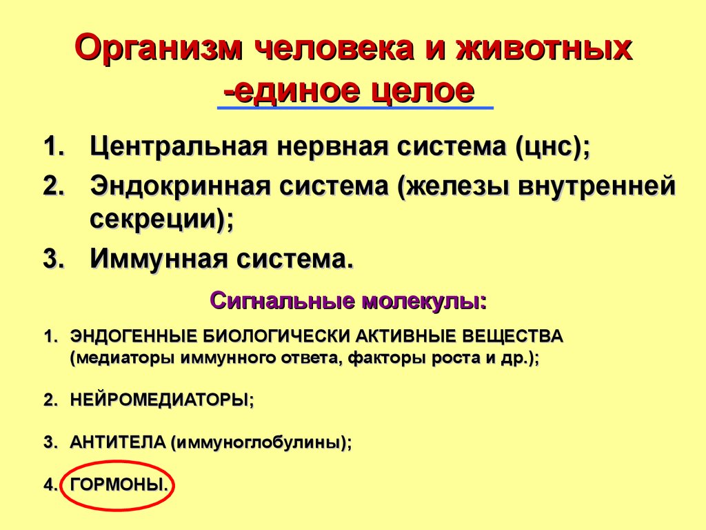 Организм единое целое 5. Организм животного единое целое. Организм человека единое целое. Пример что организм животного единое целое.