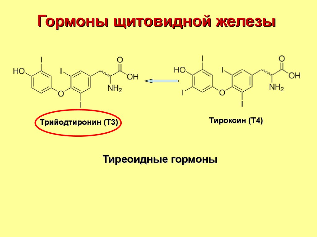 Тиронин