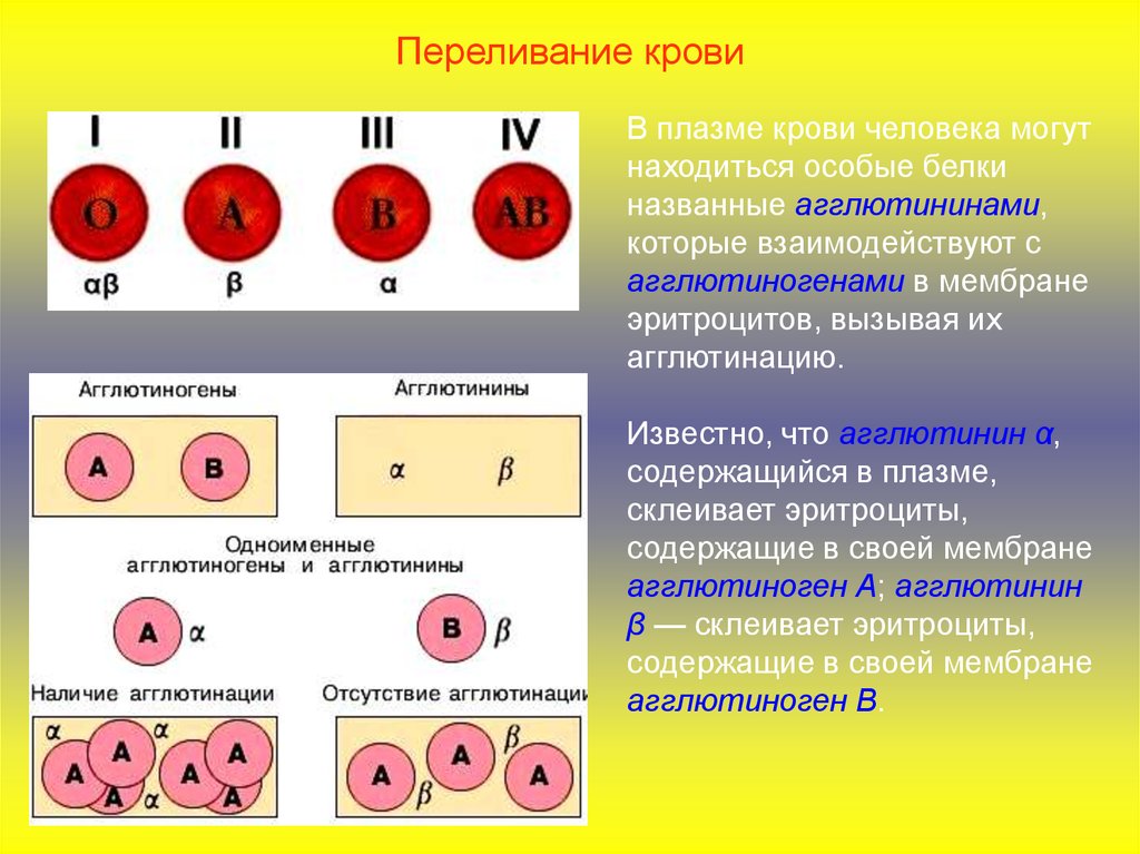Агглютиногены iii группы крови. Агглютиноген и агглютинин. Переливание крови агглютинины. Группы крови таблица агглютинины и агглютиногены. Группы крови переливание.