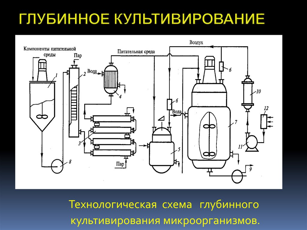 Схема биотехнологической лаборатории