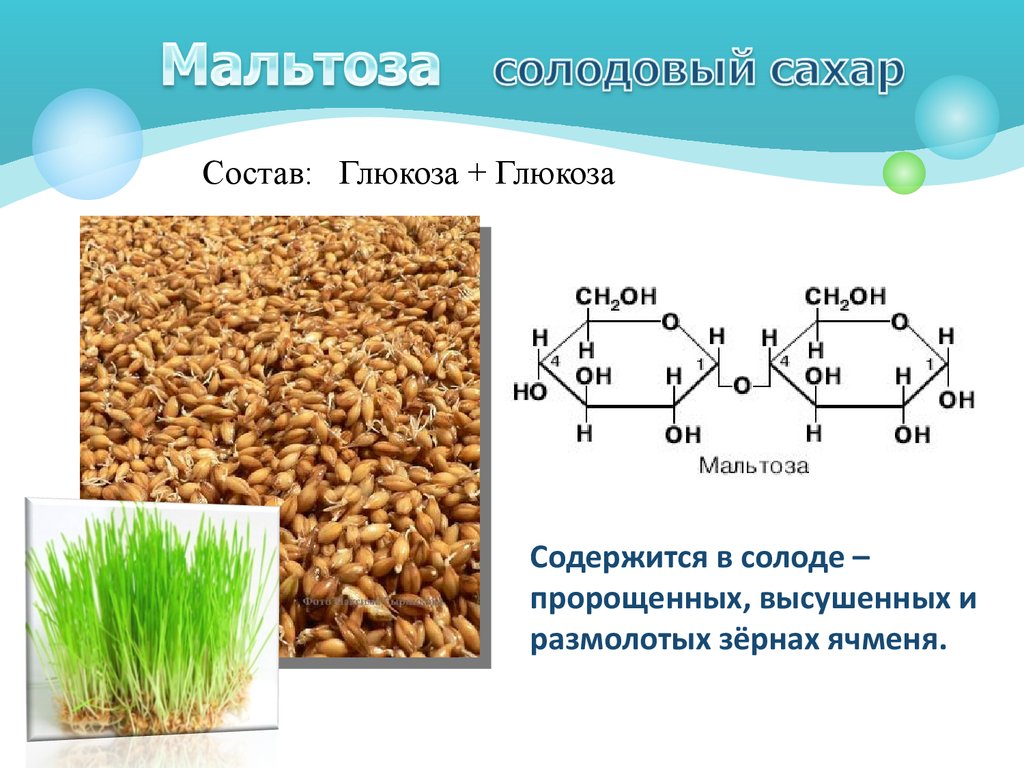 Мальтоза. Мальтоза солодовый. Мальтоза солодовый сахар. Мальтоза из чего состоит. Мальтоза содержится в.