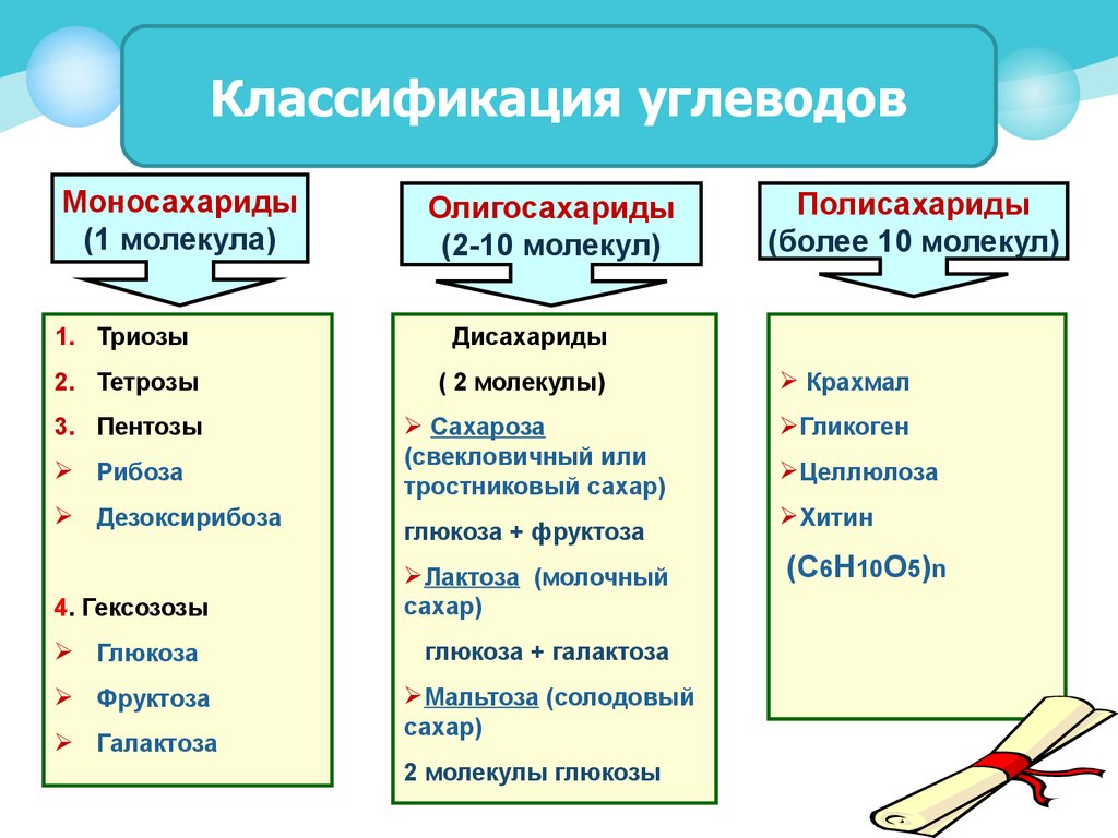 3 типа углеводов