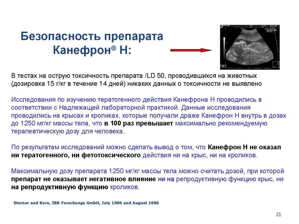 Тест острый пиелонефрит. Канефрон презентация. Безопасность препарата. Таблетки для почек канефрон инструкция по применению. Пиелонефрит лечение канефроном.