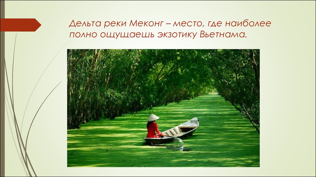 План описания реки меконг