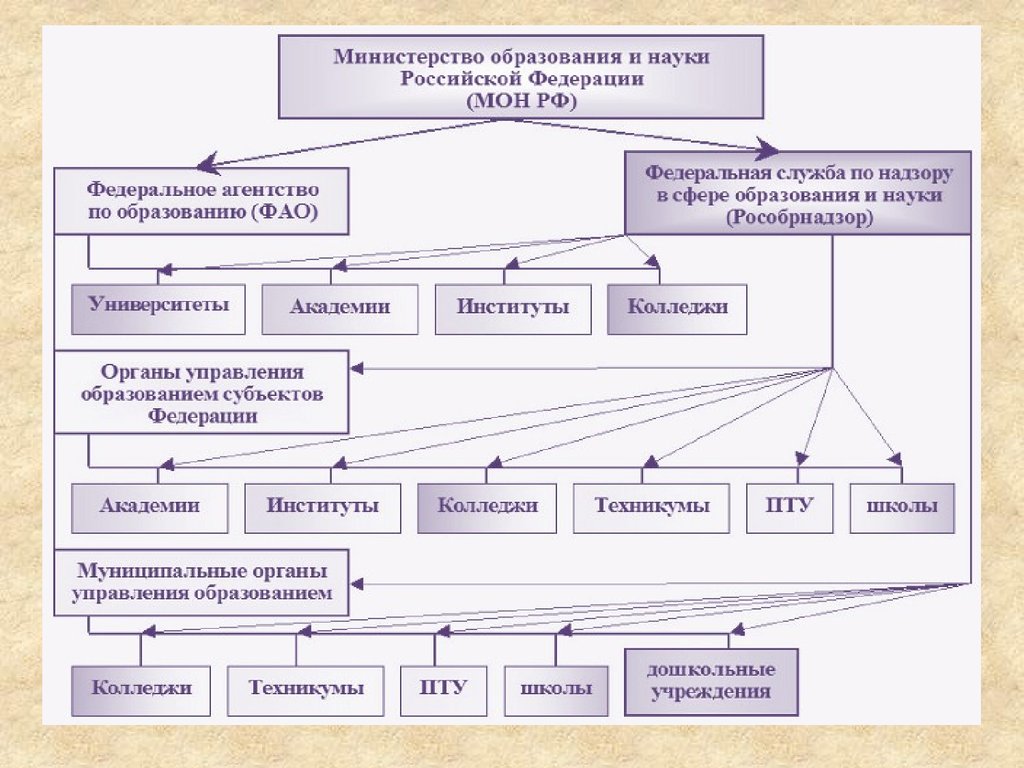 Система образования россии схема