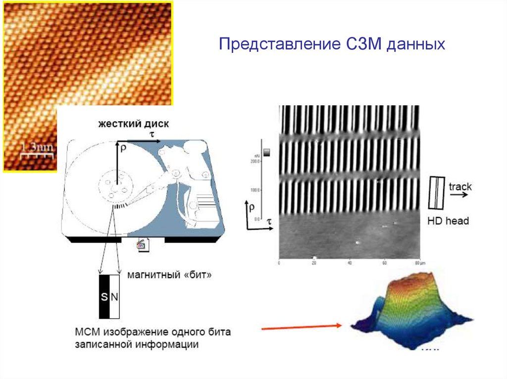 Сканирующая зондовая микроскопия фото