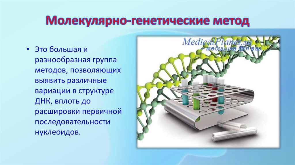 Молекулярно генетическая генетика