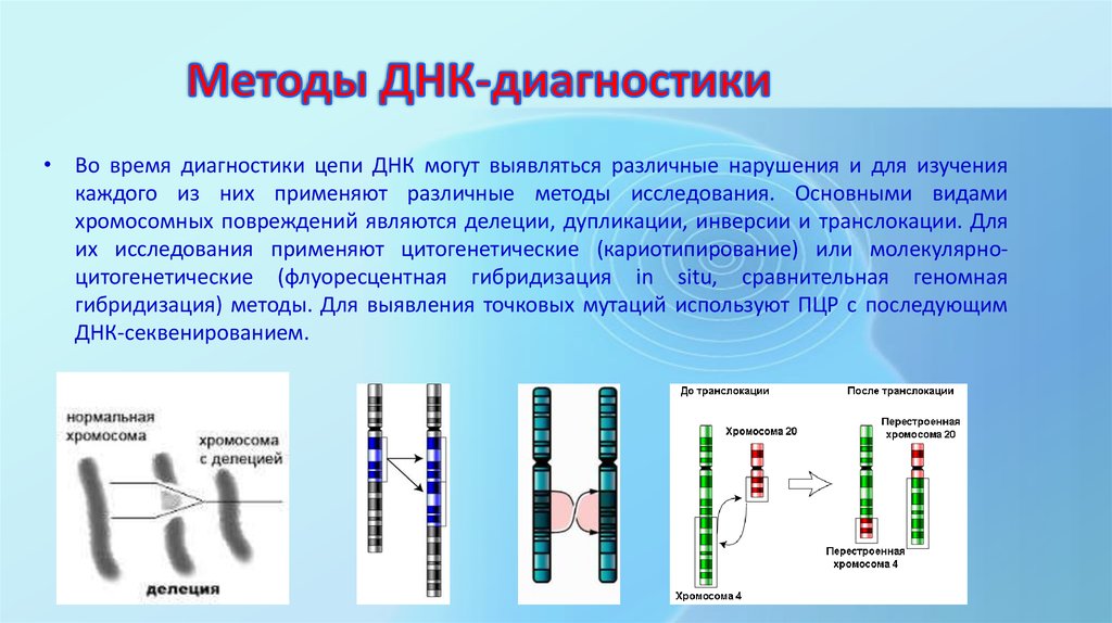 Сколько молекул днк в данной хромосоме. Метод анализа ДНК. Современные методы ДНК диагностики ПЦР. Методы прямой ДНК диагностики. Методы изучения структуры ДНК.