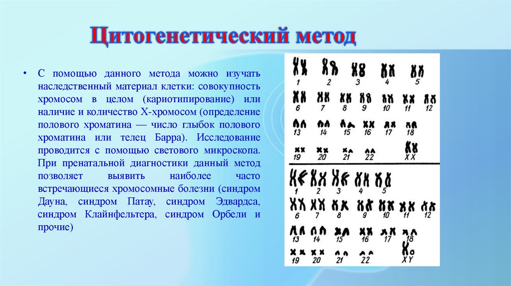 Цитогенетический метод картинки для презентации