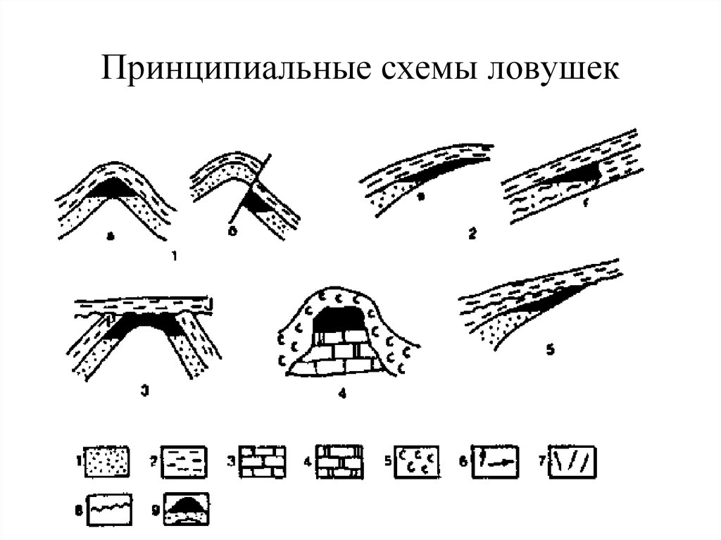 Схема размещения ловушек для грызунов образец