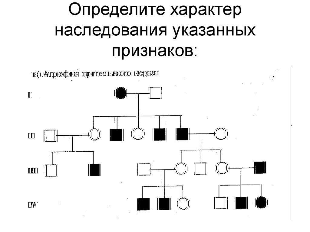 Изучите схему и определите тип наследования признака поясните определите генотипы 1234