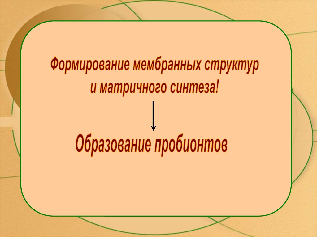 Протобионты. Формирование мембранных структур. Формирование пробионтов. Формирование мембранных структур и пробионтов. Формирование мембран и возникновение пробионтов.