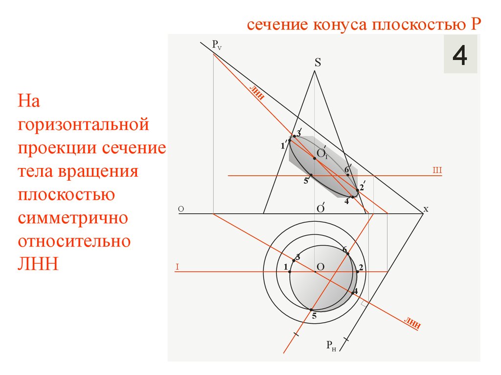 Тела вращения на плоскости. Сечение тел вращения. Построение сечений тел вращения. Сечение тела вращения плоскостью. Сечение Толо плоскостью.