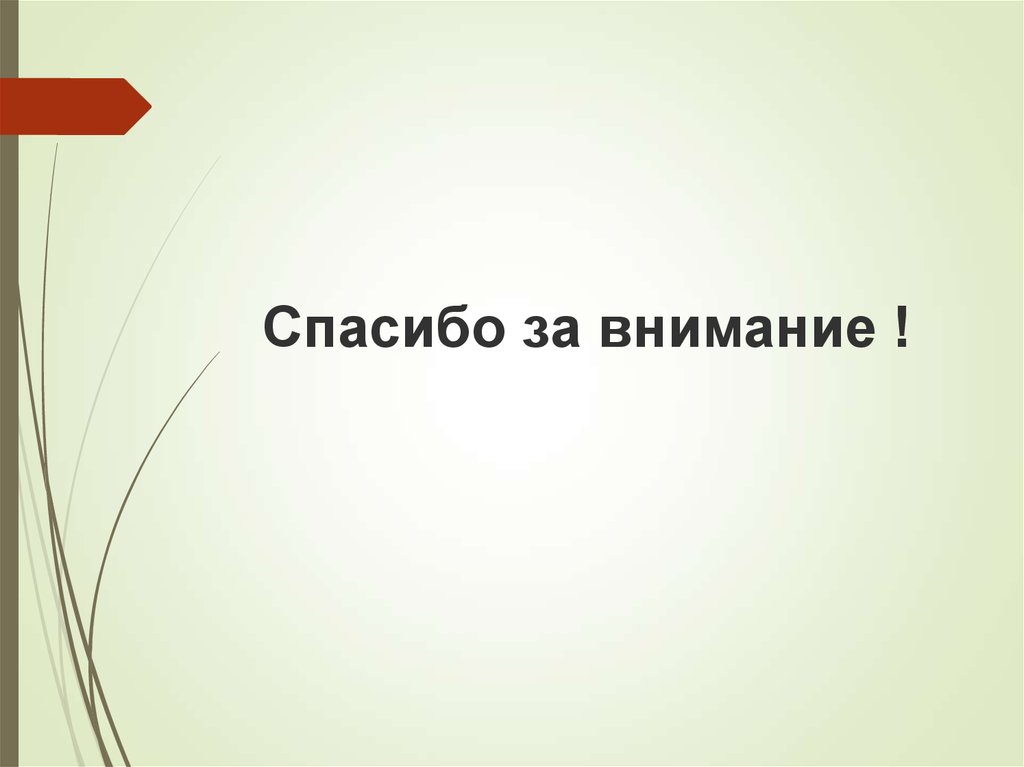 Спасибо за внимание !