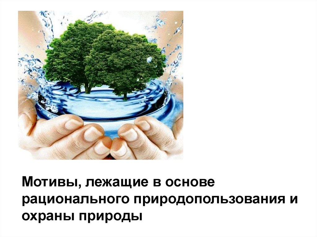 Изменения в экологическом законодательстве. Экологические законы природопользования. Охрана природы и окружающей среды. Рациональное природопользование и охрана окружающей среды.. Окружающая среда и рациональное природопользование.