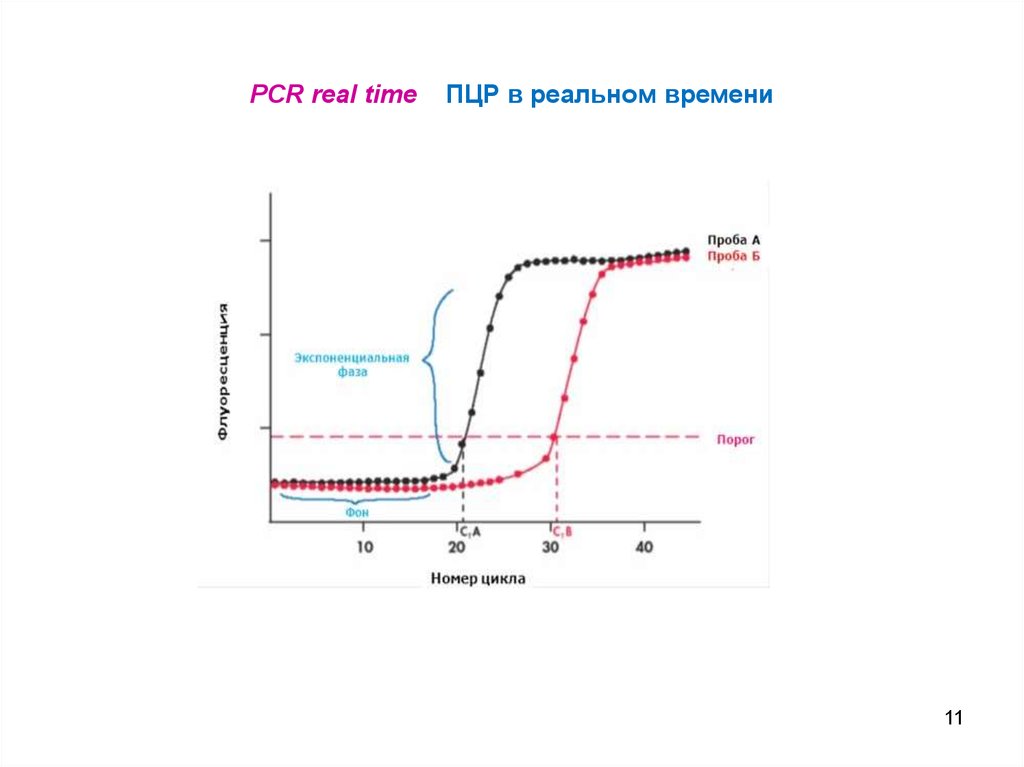 График в реальном времени. Real time ПЦР схема. Real-time ПЦР. Принцип метода.. Детекция результатов Реал-тайм ПЦР. ПЦР Реал тайм методика.