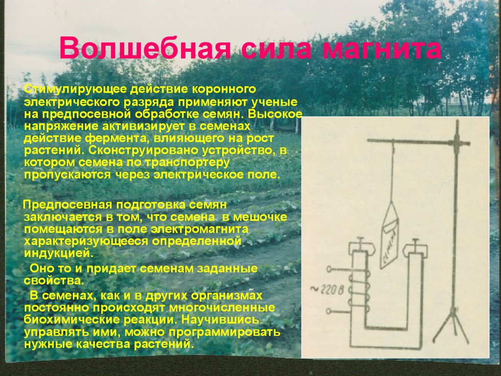 download механика колебания и волны термодинамика сборник