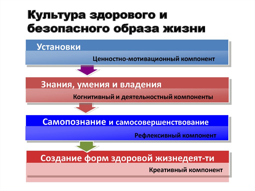 Культура безопасного образа жизни