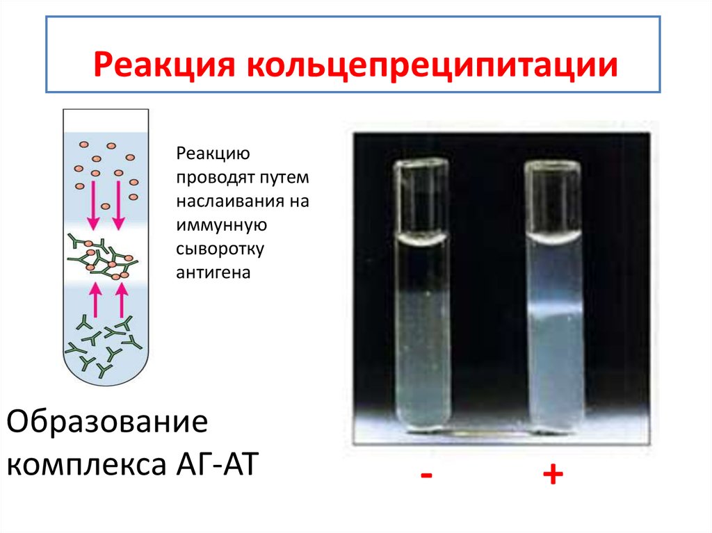 Реакция преципитации картинки